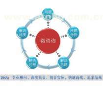 企業(yè)管理信息咨詢服務 驅(qū)動企業(yè)可持續(xù)發(fā)展的關(guān)鍵力量